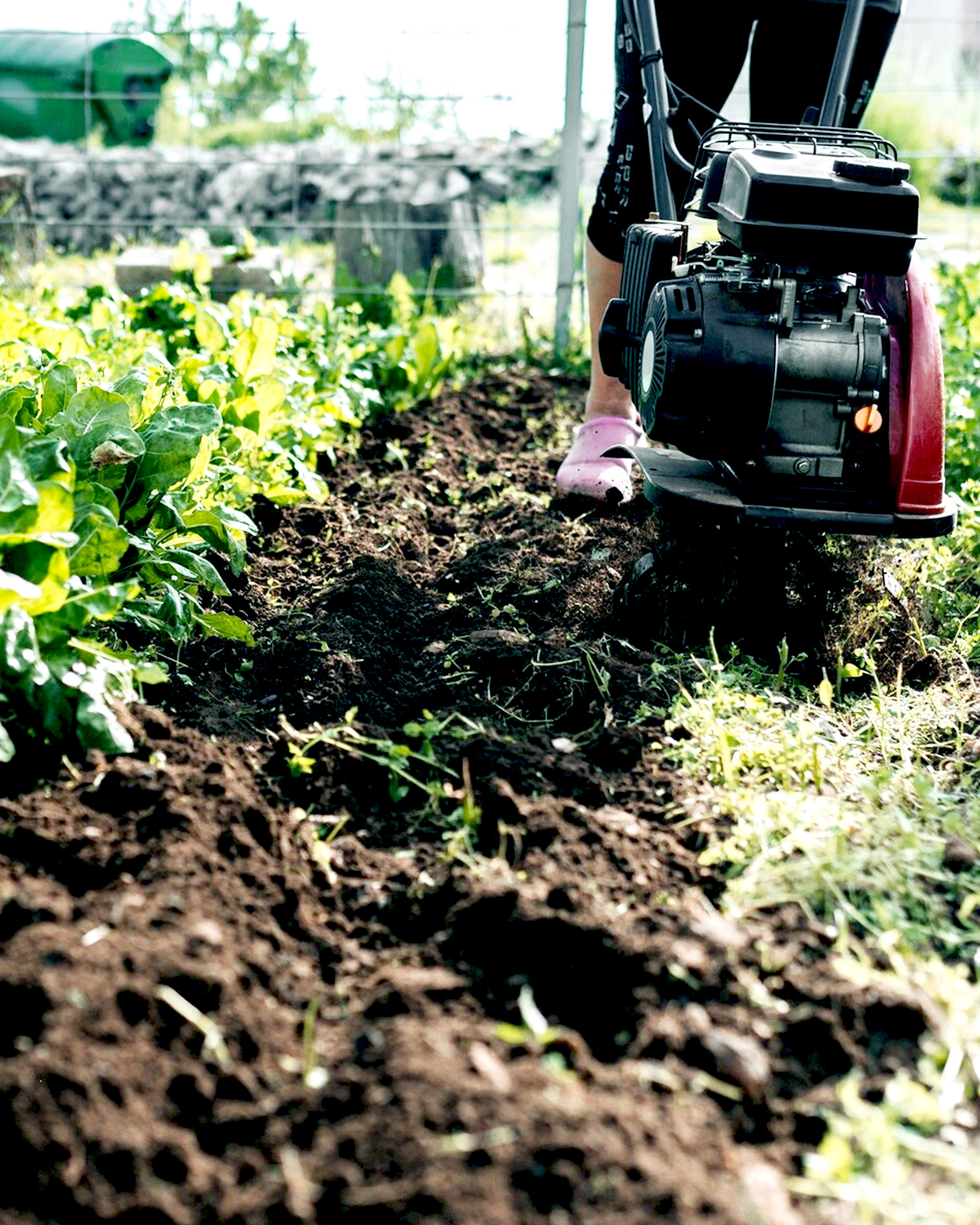 law renovation service