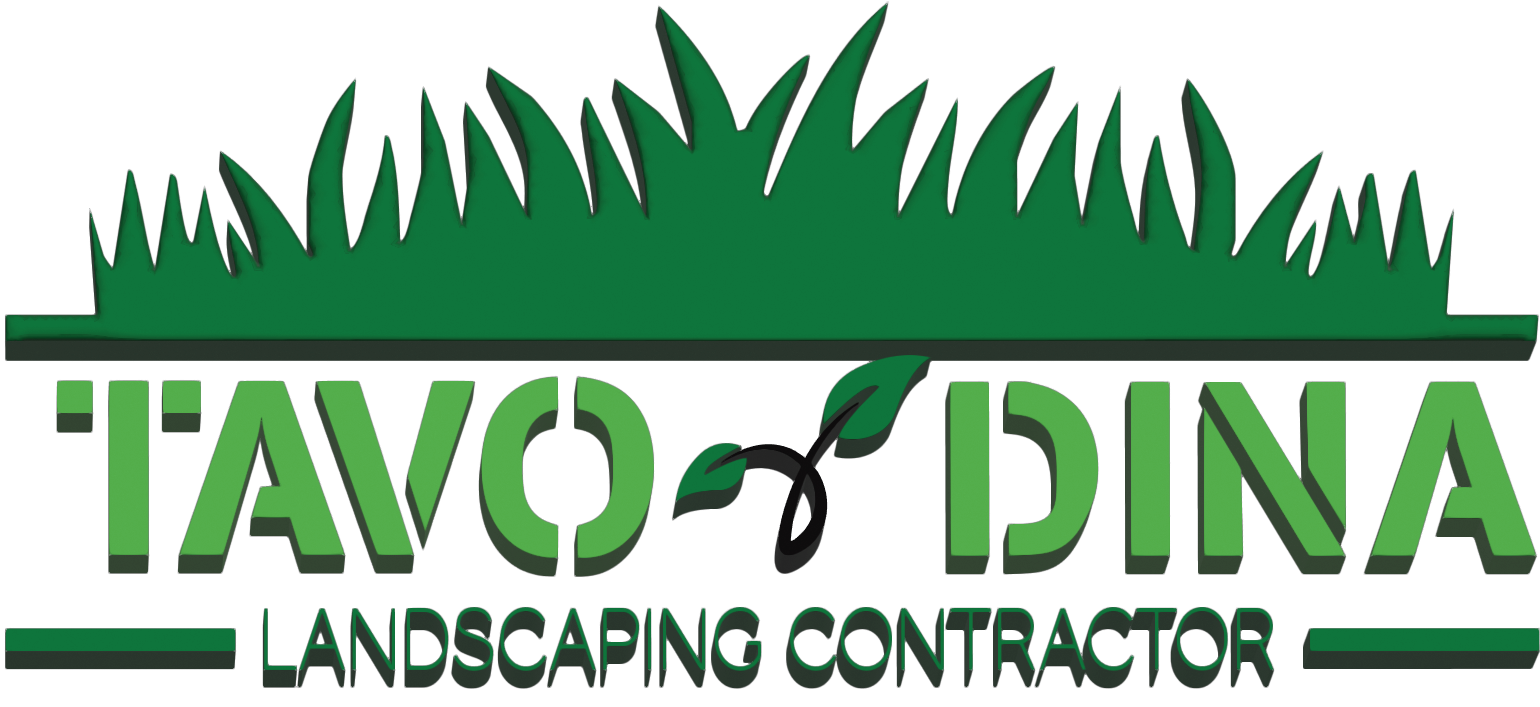 Logo Tavo and Dina Landscaping