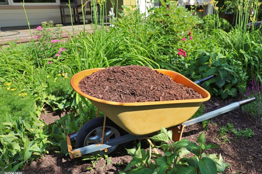 mulch garden design