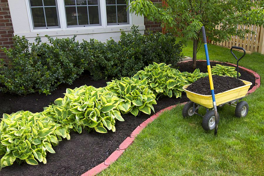 mulch garden design